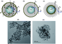 Graphical abstract: Mechanistic insights into surface contribution towards heat transfer in a nanofluid