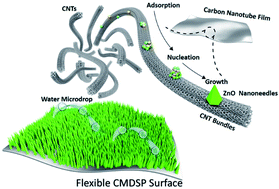 Graphical abstract: Flexible superhydrophobic surfaces with condensate microdrop self-propelling functionality based on carbon nanotube films
