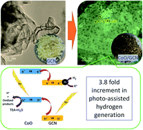 Graphical abstract: Sub 10 nm CoO nanoparticle-decorated graphitic carbon nitride for solar hydrogen generation via efficient charge separation