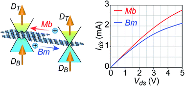 Graphical abstract: Dual-gated mono–bilayer graphene junctions