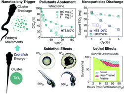Graphical abstract: Are TiO2 nanoparticles safe for photocatalysis in aqueous media?