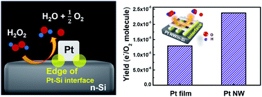 Graphical abstract: Enhanced flux of chemically induced hot electrons on a Pt nanowire/Si nanodiode during decomposition of hydrogen peroxide