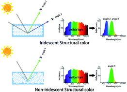 Graphical abstract: Enhancing the brightness and saturation of noniridescent structural colors by optimizing the grain size