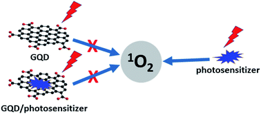 Graphical abstract: Graphene quantum dots in photodynamic therapy