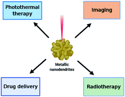 Graphical abstract: Therapeutic nanodendrites: current applications and prospects