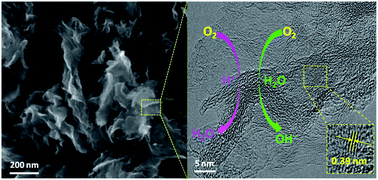 Graphical abstract: Short-range amorphous carbon nanosheets for oxygen reduction electrocatalysis