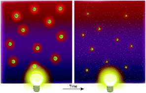 Graphical abstract: A comparative study of silver nanoparticle dissolution under physiological conditions