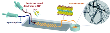 Graphical abstract: Microfluidics for the rapid and controlled preparation of organic nanotubes of bent-core based dendrimers