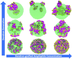 Graphical abstract: Dendronized vesicles: formation, self-organization of dendron-grafted amphiphiles and stability