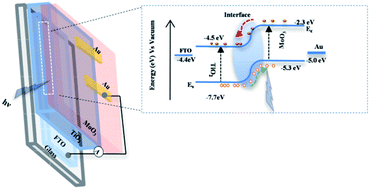 Graphical abstract: Solution processed transparent anatase TiO2 nanoparticles/MoO3 nanostructures heterojunction: high performance self-powered UV detector for low-power and low-light applications