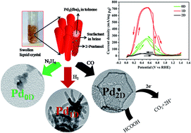 Graphical abstract: Engineering the morphology of palladium nanostructures to tune their electrocatalytic activity in formic acid oxidation reactions