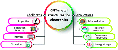 Graphical abstract: Critical challenges and advances in the carbon nanotube–metal interface for next-generation electronics