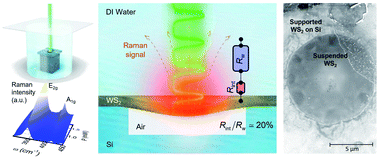 Graphical abstract: Thermal conductance between water and nm-thick WS2: extremely localized probing using nanosecond energy transport state-resolved Raman