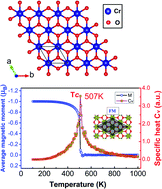 Graphical abstract: 1T-CrO2 monolayer: a high-temperature Dirac half-metal for high-speed spintronics
