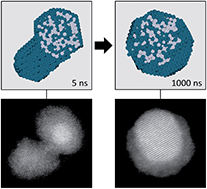 Graphical abstract: Tuning the coalescence degree in the growth of Pt–Pd nanoalloys