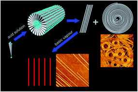 Graphical abstract: Controllable self-patterning behaviours of flexible self-assembling peptide nanofibers