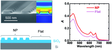 Graphical abstract: Enhanced optical absorption in conformally grown MoS2 layers on SiO2/Si substrates with SiO2 nanopillars with a height of 50 nm