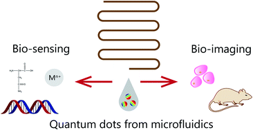 Graphical abstract: Microfluidic synthesis of quantum dots and their applications in bio-sensing and bio-imaging