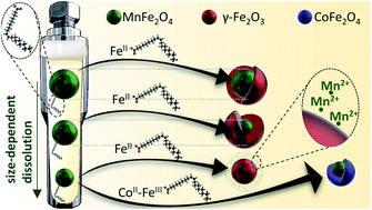Graphical abstract: On the synthesis of bi-magnetic manganese ferrite-based core–shell nanoparticles