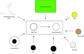 Graphical abstract: Protein-, polymer-, and silica-based luminescent nanomaterial probes for super resolution microscopy: a review