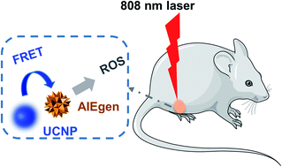 Graphical abstract: Near-infrared light excited photodynamic anticancer therapy based on UCNP@AIEgen nanocomposite