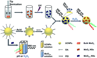 Graphical abstract: Upconversion-based nanosystems for fluorescence sensing of pH and H2O2