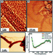 Graphical abstract: Low reflectance of carbon nanotube and nanoscroll-based thin film coatings: a case study