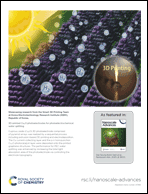 Graphical abstract: Inside back cover