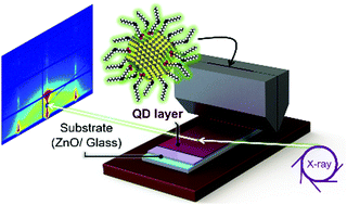 Graphical abstract: Colloidal PbS quantum dot stacking kinetics during deposition via printing