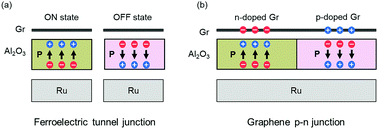 Graphical abstract: Integration of graphene and two-dimensional ferroelectrics: properties and related functional devices