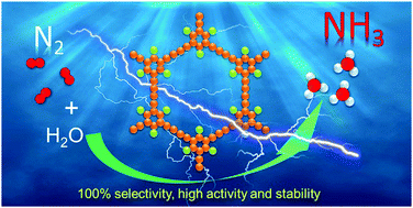 Graphical abstract: A highly selective and active metal-free catalyst for ammonia production