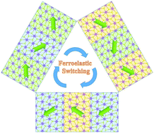 Graphical abstract: Prediction of two-dimensional antiferromagnetic ferroelasticity in an AgF2 monolayer