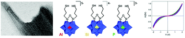 Graphical abstract: Polarizability is a key parameter for molecular electronics