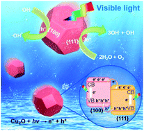 Graphical abstract: Visible-light-driven cuprous oxide nanomotors with surface-heterojunction-induced propulsion