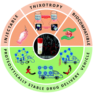 Graphical abstract: Mechanoresponsive, proteolytically stable and biocompatible supergelators from ultra short enantiomeric peptides with sustained drug release propensity