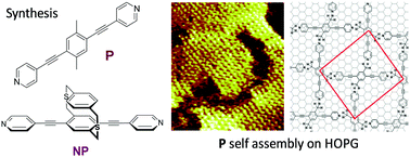 Graphical abstract: Synthesis and photophysics of new pyridyl end-capped 3D-dithia[3.3]paracyclophane-based Janus tectons: surface-confined self-assembly of their model pedestal on HOPG