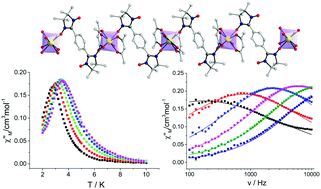 Graphical abstract: Slow relaxation of magnetization for a Tb derivative in a biradical-based lanthanide chain