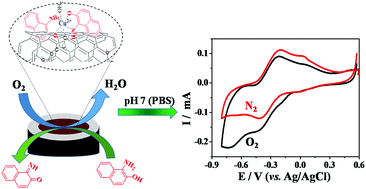 Graphical abstract: Oxygen sensitive 1-amino-2-naphthol immobilized functionalized-carbon nanotube electrode