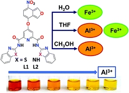 Graphical abstract: Detection of Al3+ and Fe3+ ions by nitrobenzoxadiazole bearing pyridine-2,6-dicarboxamide based chemosensors: effect of solvents on detection