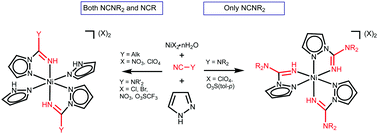 Graphical abstract: Nickel(ii)-mediated cyanamide–pyrazole coupling highlights distinct reactivity of NCNR2 and NCR nitrile ligands