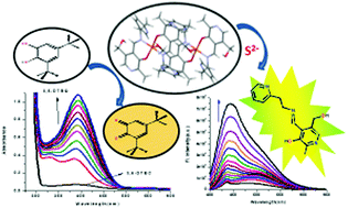 Graphical abstract: Structural divergence in binuclear Cu(ii) pyridoxal Schiff base complexes probed by co-ligands: catecholase mimetic activity and sulphide ion sensing