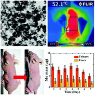 Graphical abstract: A biodegradable nanodrug of molybdenum silicide for photothermal oncotherapy