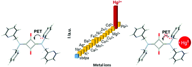 Graphical abstract: A squaraine-based dipicolylamine derivative acting as a turn-on mercury(ii) fluorescent probe in water