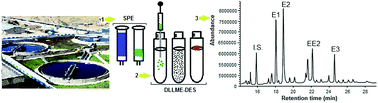 Graphical abstract: Solid-phase extraction followed by deep eutectic solvent based dispersive liquid–liquid microextraction and GC-MS detection of the estrogenic compounds in wastewater samples