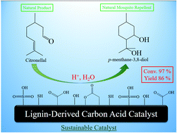 Graphical abstract: Synthesis of p-menthane-3,8-diol from citronellal over lignin-derived carbon acid catalysts