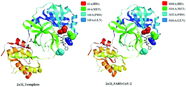 Graphical abstract: Whole-genome sequence analysis and homology modelling of the main protease and non-structural protein 3 of SARS-CoV-2 reveal an aza-peptide and a lead inhibitor with possible antiviral properties