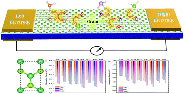 Graphical abstract: Sensing the polar molecules MH3 (M = N, P, or As) with a Janus NbTeSe monolayer