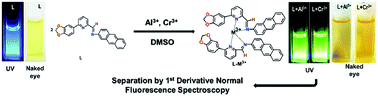 Graphical abstract: Luminescence sensing, DFT, extraction and monitoring of Cr3+ and Al3+via the application of first derivative fluorescence spectroscopy