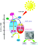 Graphical abstract: Facile template-free synthesis of new α-MnO2 nanorod/silver iodide p–n junction nanocomposites with high photocatalytic performance
