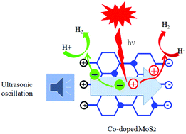 Graphical abstract: Cobalt-doped MoS2 enhances the evolution of hydrogen by piezo-electric catalysis under the 850 nm near-infrared light irradiation